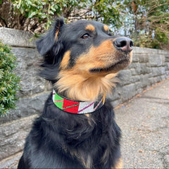 Handcrafted Beaded Leather Dog Collar for Large Breeds - Strong & Stylish - Fits 16"-20" Neck (Zuhura)