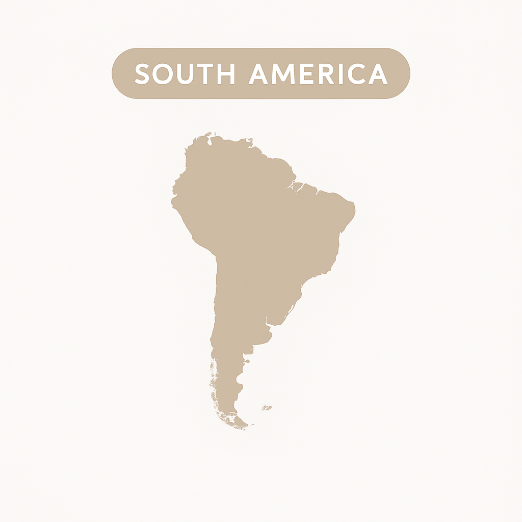 Argentina Flag Bracelet: Handmade Bracelet, Adjustable Beaded Boho-Style Rope Bangle with Patriotic Design